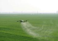 Bisnis Startup Agritech