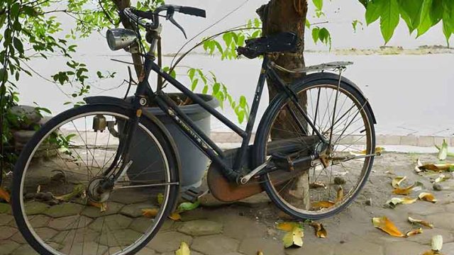 Sepeda Merupakan Mesin Jadul Timeless yang Efisien Hingga Saat Ini